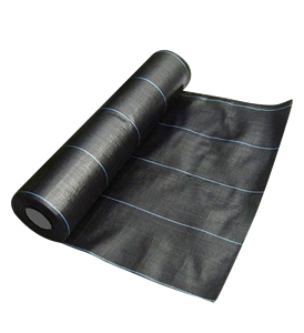 100m Roll