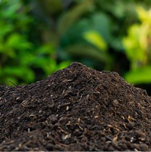 Soil & Compost